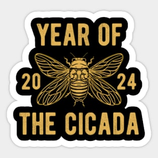 Cicada 2024 Year Of The Cicada Illinois nce 2024 Sticker